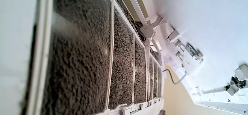 Preventive Air Duct Bacteria Removal in Saginaw