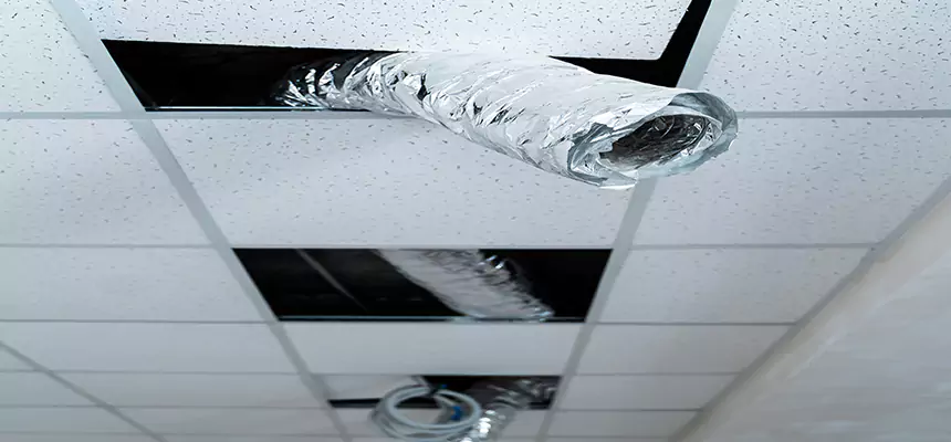 Our Air Duct Pet Hair Removal Services in Saginaw, TX