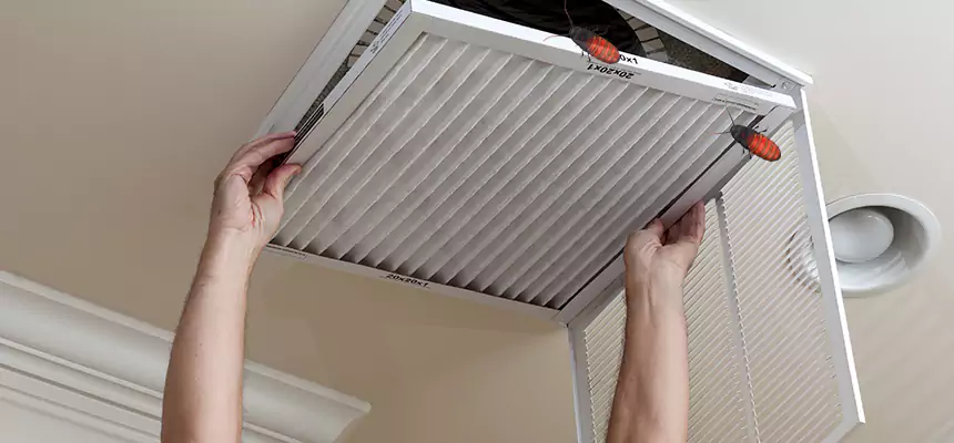 Our Insect Removal from Air Ducts Services in Saginaw, TX