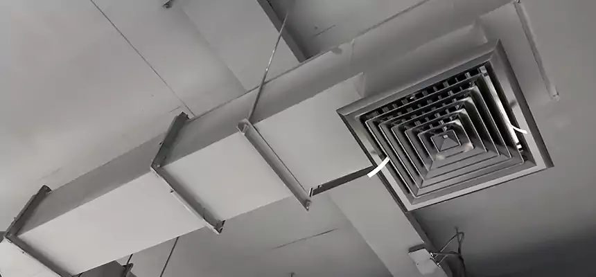 Our Rodent Droppings In Vents Services in Saginaw, TX