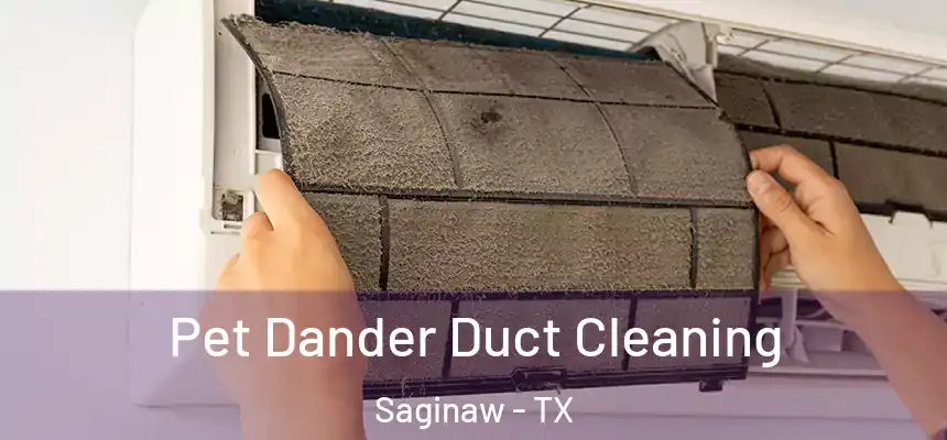 Pet Dander Duct Cleaning Saginaw - TX
