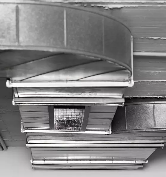 Professional Air Duct Pest Removal in Saginaw, TX