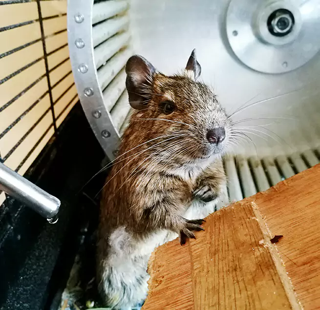 Why Homeowners & Businesses Trust Us Saginaw, TX