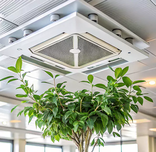 Why Homeowners & Businesses Trust Us in Saginaw, TX